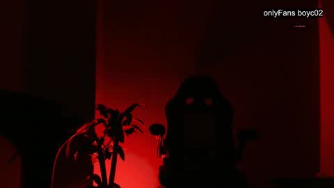 boyc02_ online show from December 26, 2024, 12:03 am