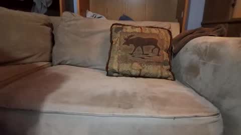 Snapshot of boypussysowet chatting on February 9, 2026, 4:05 am smoothslutfordaddy online show from February 9, 2026, 4:05 am