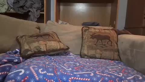 Snapshot of boypussysowet chatting on February 11, 2026, 4:12 pm smoothslutfordaddy online show from February 11, 2026, 4:12 pm