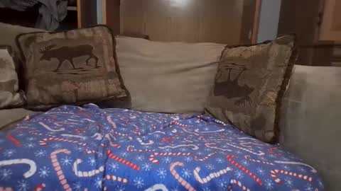 Snapshot of boypussysowet chatting on February 12, 2026, 6:58 pm smoothslutfordaddy online show from February 12, 2026, 6:58 pm