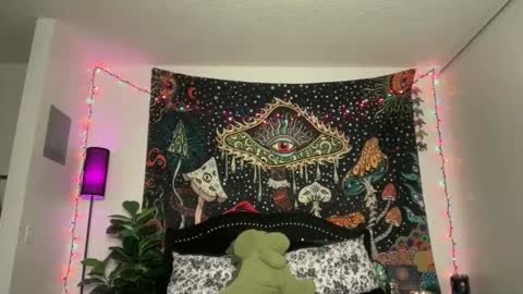 Puddin online show from November 24, 2025, 4:56 am