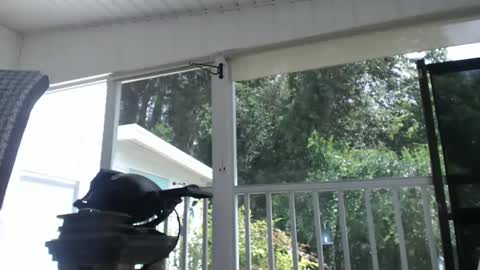 mr bill sir online show from October 6, 2025, 5:43 pm