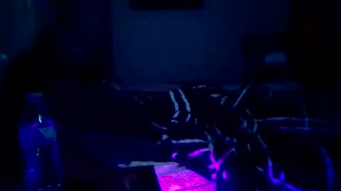 GuitarBrad1989 online show from June 10, 2026, 9:19 am