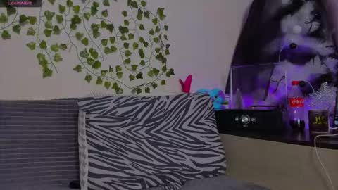 Johny Bravo online show from January 13, 2026, 8:03 pm