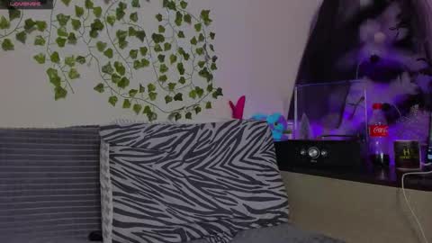 Johny Bravo online show from January 13, 2026, 8:03 pm