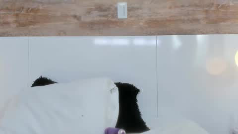 brianna_beltran online show from April 12, 2026, 11:04 am