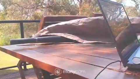 Fun Monster online show from October 10, 2025, 1:15 am