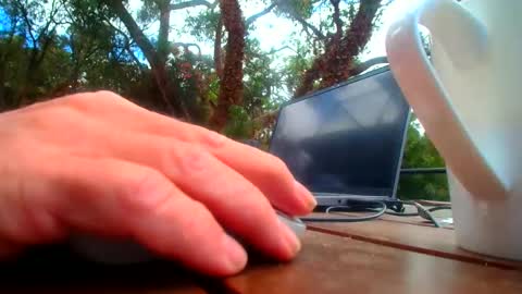 Fun Monster online show from February 19, 2026, 1:01 am