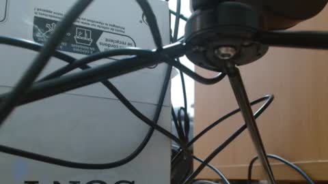 brigittebia777 online show from October 10, 2025, 3:38 am