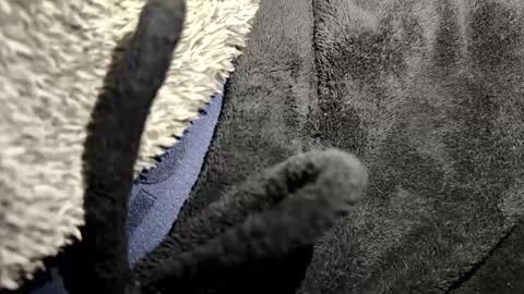 Snapshot of broken_lad chatting on January 12, 2026, 7:08 pm just a broken boy online show from January 12, 2026, 7:08 pm