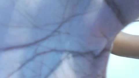 brownguy2505 online show from January 19, 2026, 12:53 pm