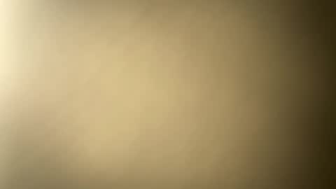 BRUCE online show from February 10, 2025, 1:24 am