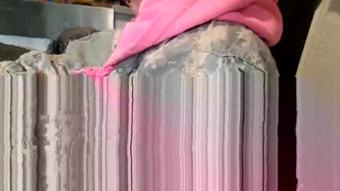 Steve... aka SkinnieDippin aka TimberTramp online show from March 11, 2026, 8:59 pm