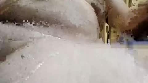 bryancody227 online show from September 15, 2025, 3:23 pm