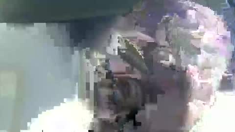 Snapshot of buddyboy51 chatting on February 14, 2026, 4:53 am Casey online show from February 14, 2026, 4:53 am