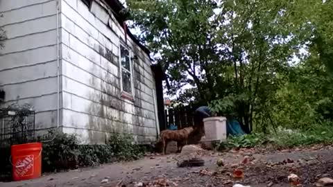 Snapshot of buddylovex chatting on October 6, 2025, 10:18 pm buddylovex online show from October 6, 2025, 10:18 pm