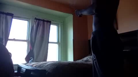 Snapshot of buddylovex chatting on November 4, 2025, 4:39 pm buddylovex online show from November 4, 2025, 4:39 pm