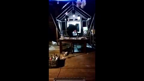 buddylovex online show from May 11, 2026, 5:46 am