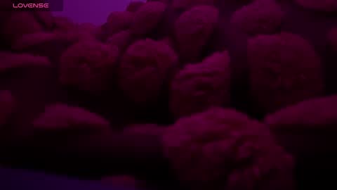 bukkakebae online show from November 15, 2025, 12:30 am