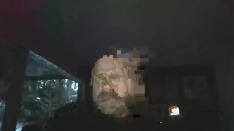 bulldog302w online show from February 2, 2026, 10:41 pm