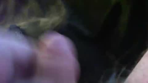 Snapshot of bullemoe chatting on January 14, 2025, 2:11 pm bullemoe online show from January 14, 2025, 2:11 pm