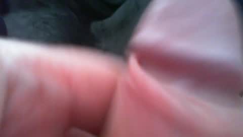 bullemoe online show from February 7, 2026, 12:42 pm