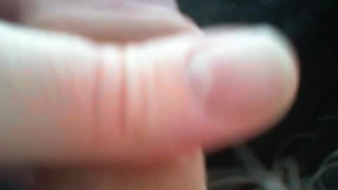 bullemoe online show from March 9, 2026, 12:31 pm