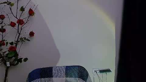 Ariel online show from April 28, 2026, 8:03 pm