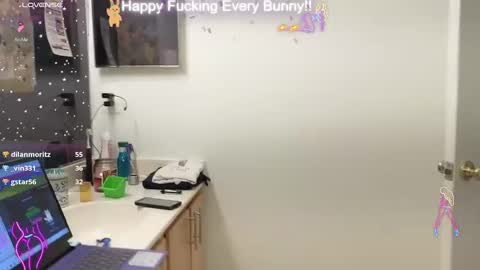 Snapshot of bunnycheekz chatting on December 29, 2024, 11:08 pm Tokki bunny online show from December 29, 2024, 11:08 pm