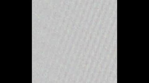 Bunny Wang online show from February 9, 2026, 1:53 am