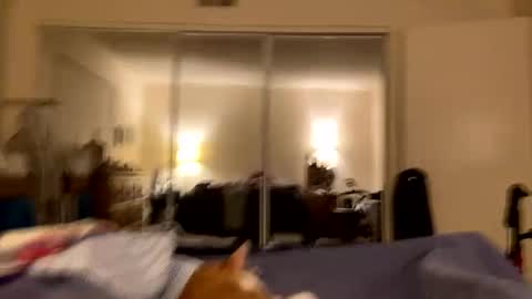 busty_2008 online show from February 24, 2026, 3:04 am