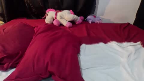 Dylan online show from February 20, 2026, 6:37 am