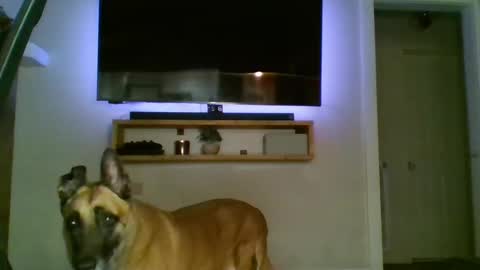 bwc44u online show from October 2, 2025, 2:07 am