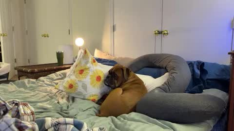 c2cmee online show from March 9, 2026, 4:38 am