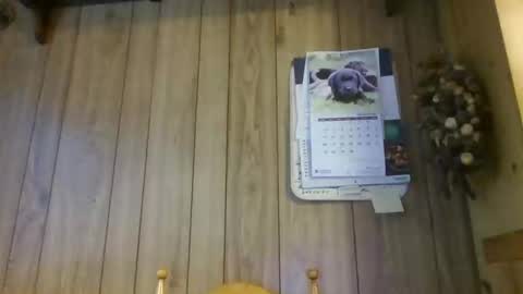 c4u58 online show from February 1, 2026, 11:20 am