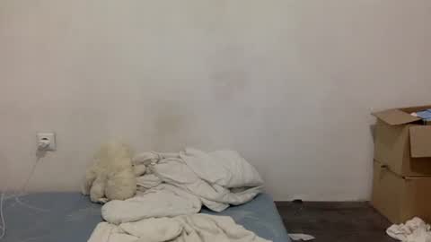 Lamb online show from July 14, 2026, 5:51 pm