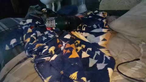 Calisguitar online show from December 29, 2024, 9:30 pm