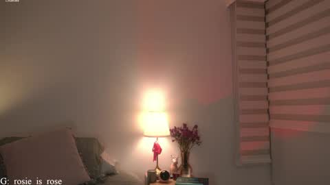 Snapshot of call_me_rosie chatting on April 1, 2026, 12:22 am online show from April 1, 2026, 12:22 am