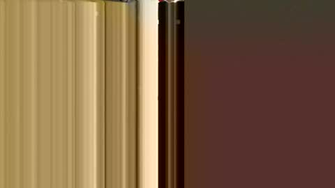 MxrtxnSxl online show from December 9, 2024, 2:06 pm