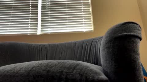 Snapshot of cam_albert1 chatting on February 19, 2025, 12:33 pm cam_albert1 online show from February 19, 2025, 12:33 pm