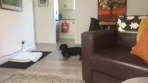 Snapshot of camdoattitude chatting on September 23, 2025, 11:46 am CamDoAttitude online show from September 23, 2025, 11:46 am