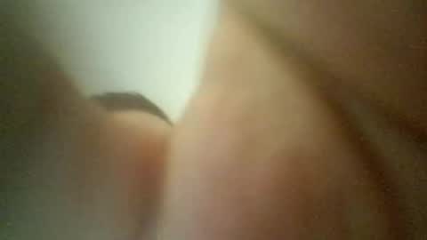 cameliasecui3 online show from January 29, 2025, 1:58 am