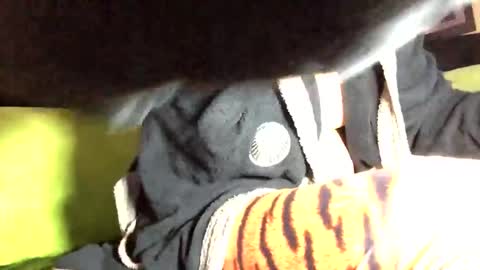 Snapshot of camelion90 chatting on March 2, 2025, 6:08 pm Marco online show from March 2, 2025, 6:08 pm