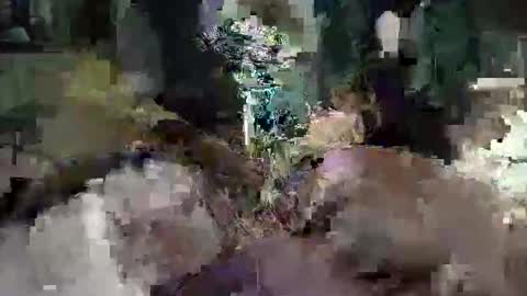 Snapshot of cameronrays chatting on April 25, 2026, 11:57 pm CameronRays online show from April 25, 2026, 11:57 pm