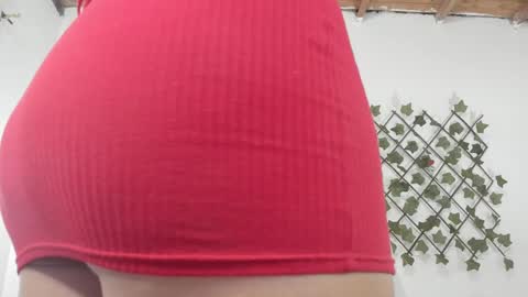 Snapshot of camihotboobs chatting on January 29, 2025, 7:43 pm camihotboobs online show from January 29, 2025, 7:43 pm