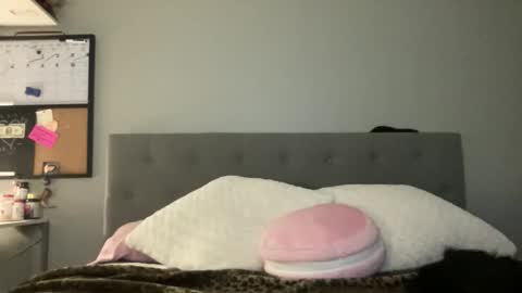 Camila Cruz online show from February 11, 2026, 3:22 am