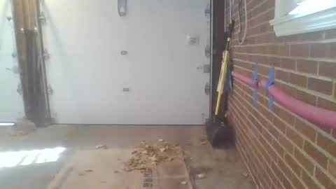 cammyman6900 online show from November 13, 2025, 4:28 pm