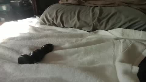 CanadianBoy88 online show from January 27, 2025, 7:24 pm