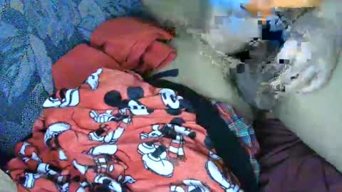 7777 online show from March 4, 2025, 6:15 am