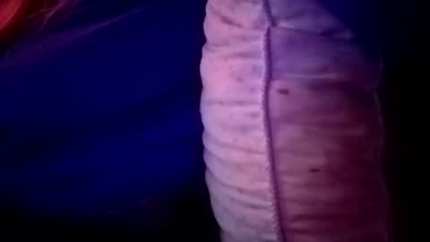 Candi online show from November 16, 2025, 2:06 am